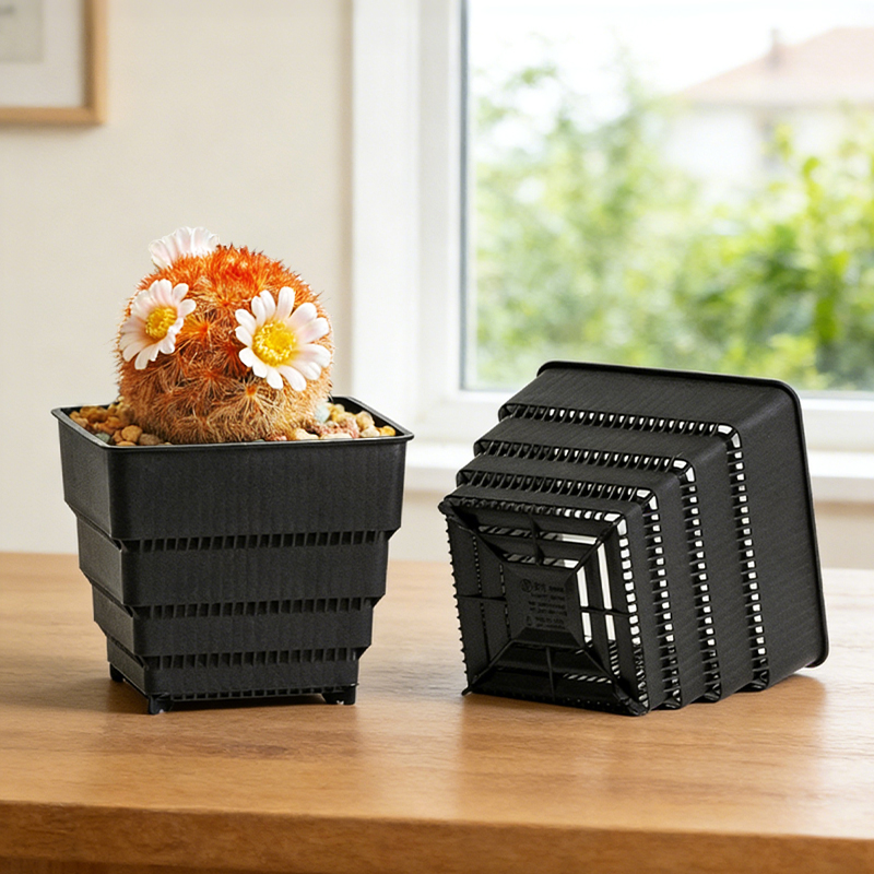 Desk Setup Plant - MESHPOT 6-Pack Pot Persegi untuk Sukulen