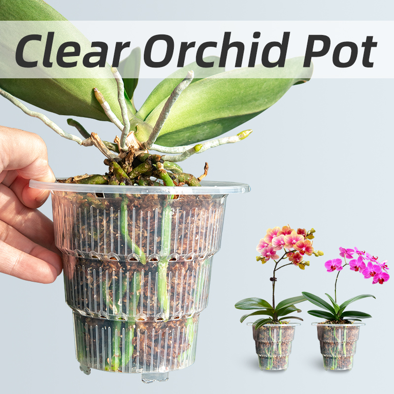 Meshpot Pot Pot anggrek plasti - Desk Setup Plant ulasan dan harga