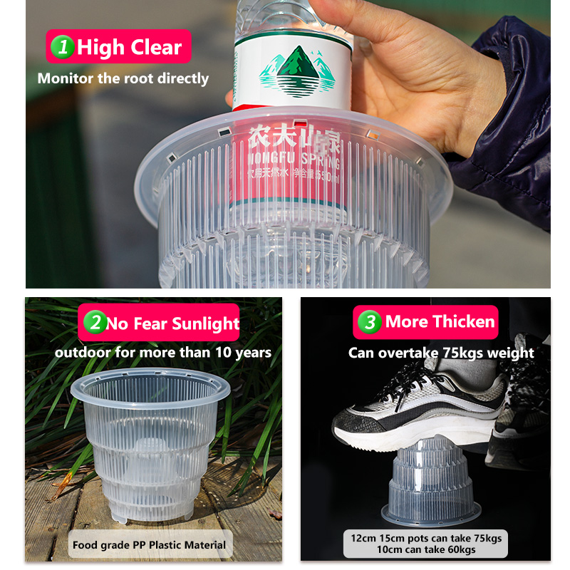Meshpot Pot Pot anggrek plasti - Desk Setup Plant ulasan dan harga