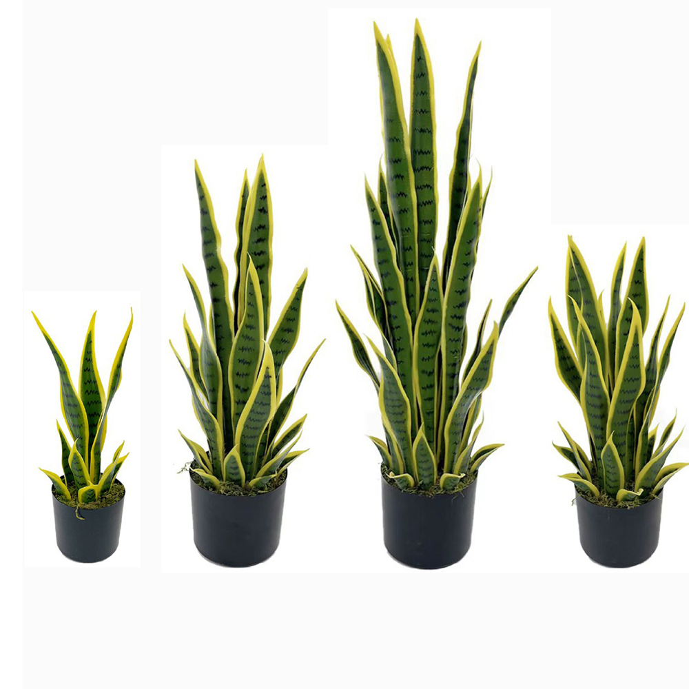 Tanaman Sansevieria Buatan 40- - Desk Setup Plant ulasan dan harga