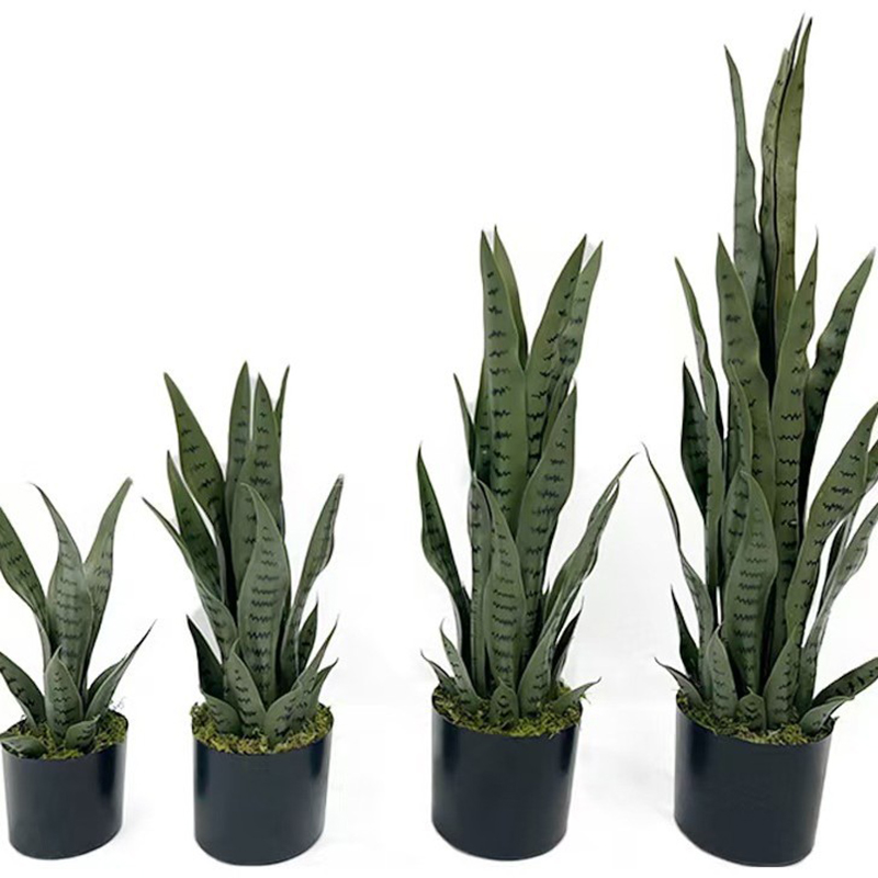Tanaman Sansevieria Buatan 40- - Desk Setup Plant ulasan dan harga