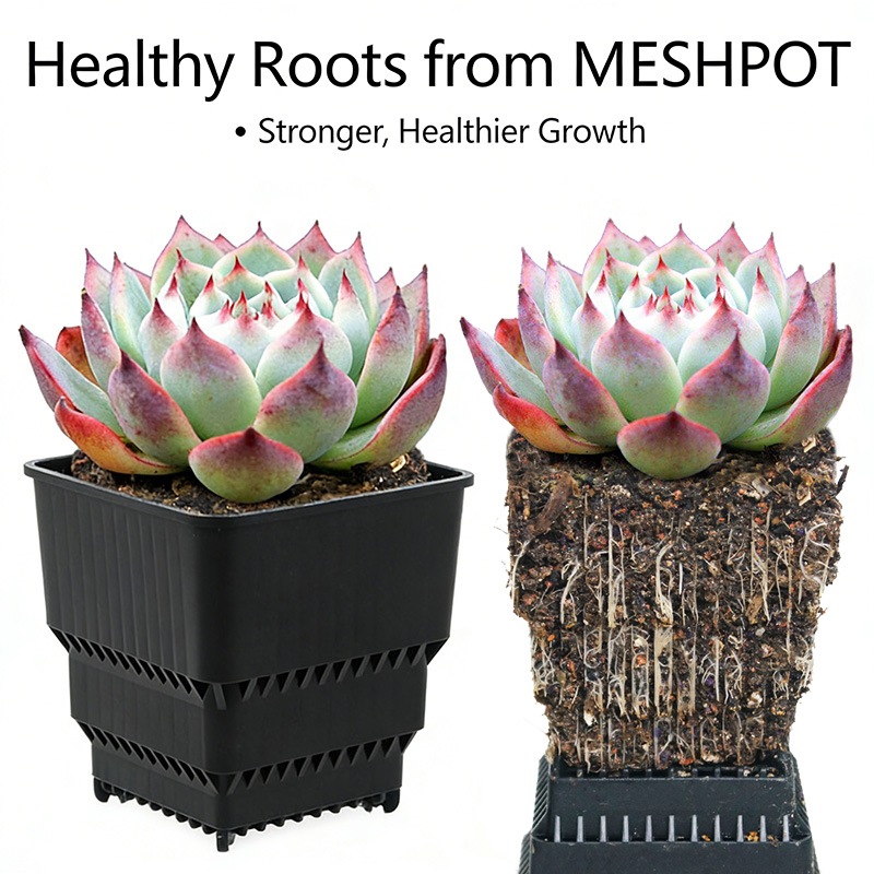 MESHPOT 6-Pack Pot Persegi unt - Desk Setup Plant ulasan dan harga