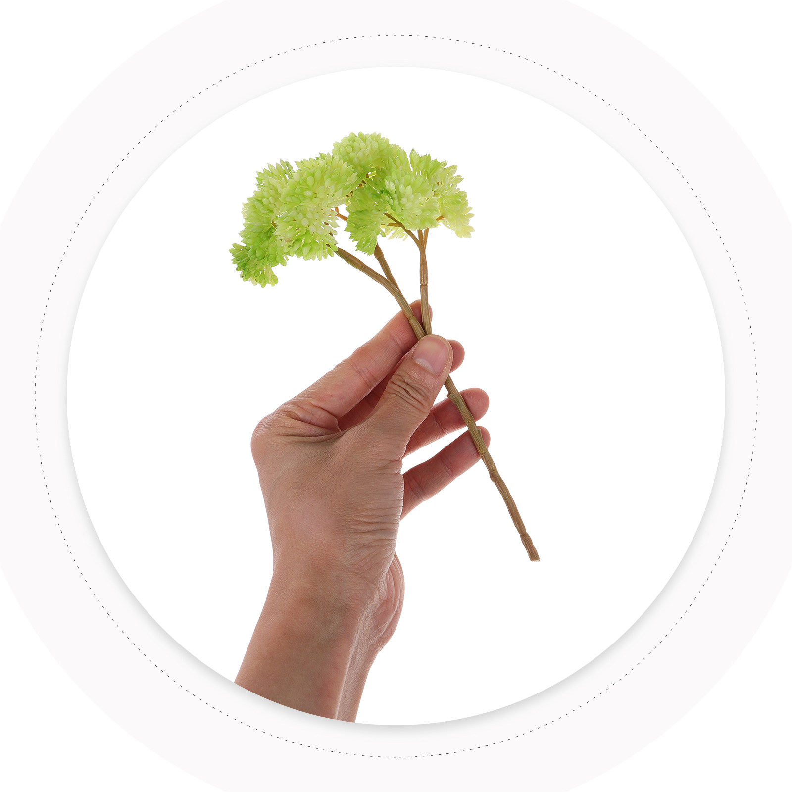 Tanaman Sukulen Palsu Realisti - Desk Setup Plant ulasan dan harga