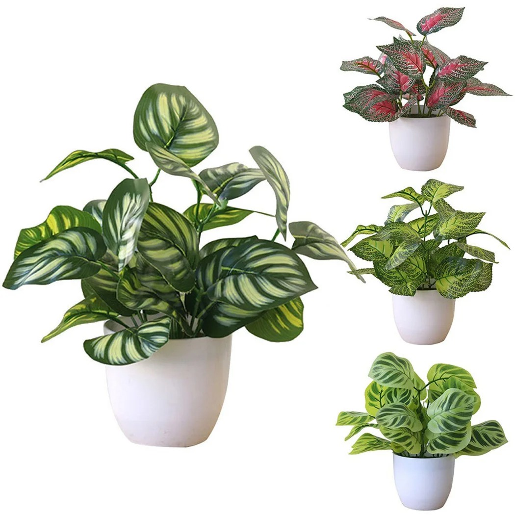 1 Buah Pot Tanaman Dedaunan Bu - Desk Setup Plant ulasan dan harga