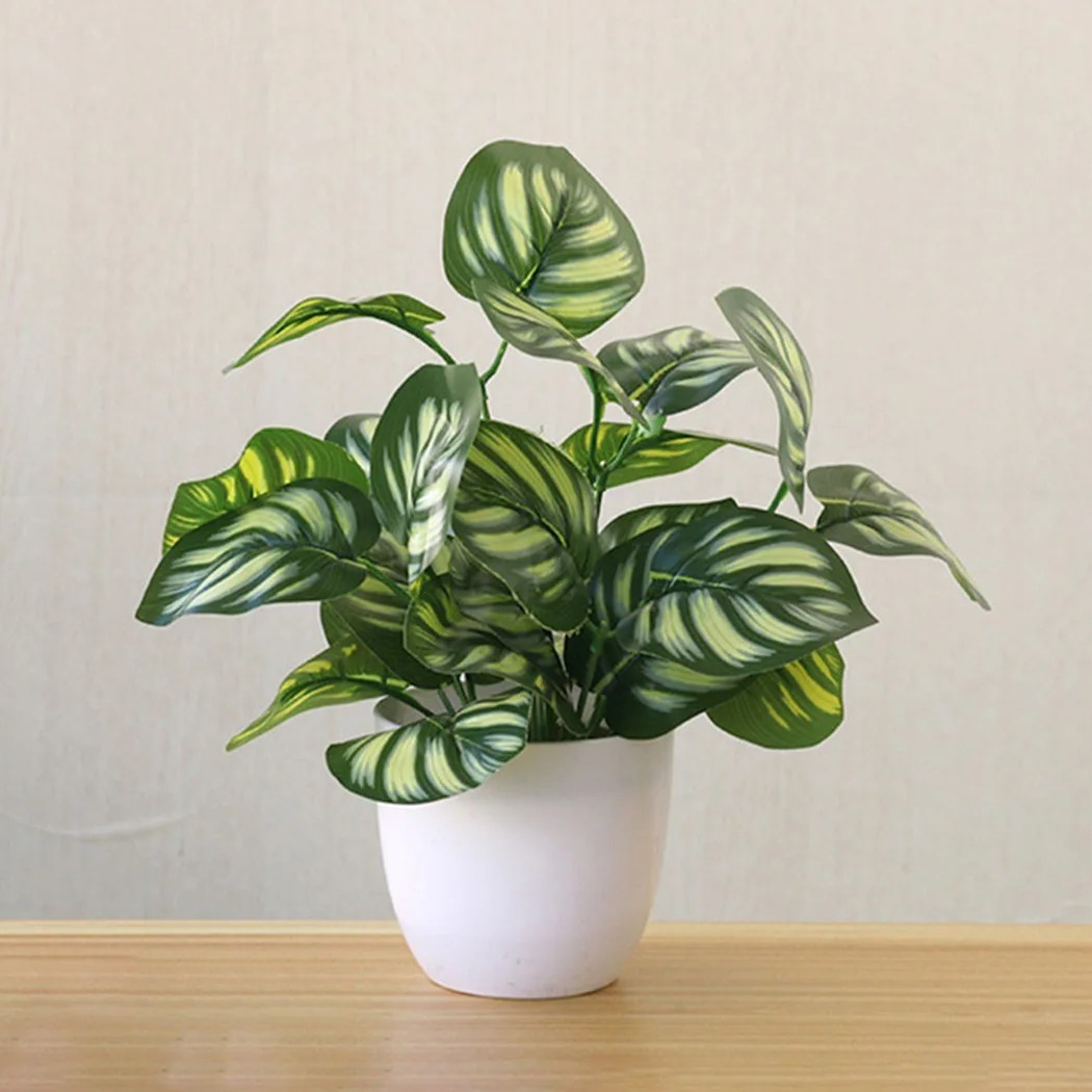 1 Buah Pot Tanaman Dedaunan Bu - Desk Setup Plant ulasan dan harga